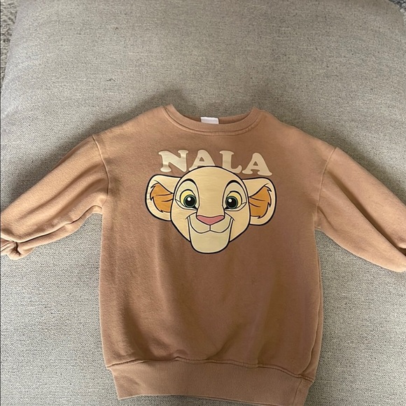 Zara Other - Zara Nala Kids Tan Sweatshirt
